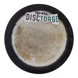 Saint Pro Team series Gold Orbit (7)