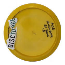 FD2 Prototype Innova Made S-Line (7)