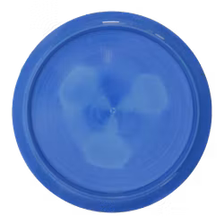 Sweep Prototype Grand (5)