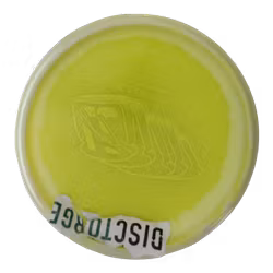 Compass Linus Carlsson Team Series Opto Ice Orbit (7)