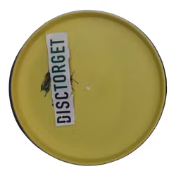 Nomad Electron Firm (6)