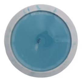 Sidewinder Swedish National Champion 2024 Champion (8)