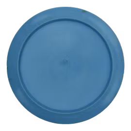 Destroyer Philo Brathwaite Team Champion Star (6)