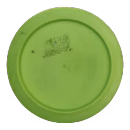 Destroyer Ricky Wysocki 2x World Champion Star (7)