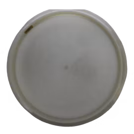 Buzzz Limited Edition Halloween Buzzz Z Glo (7)