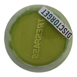 Trespass Lucid Ice Orbit (7)