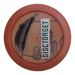 Destroyer Champion (7)