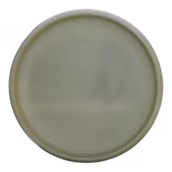 Firefly Nate Sexton Tour Series 2025 Nexus Proto Glow (7)