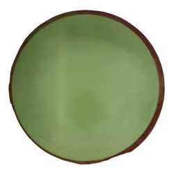 Insanity Fission (6)