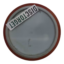 Insanity Fission (7)