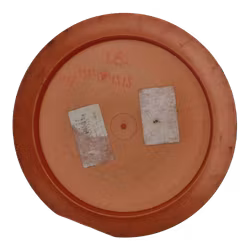 Destroyer G-star (5)