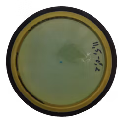 Zenith Special Edition Neutron (7)