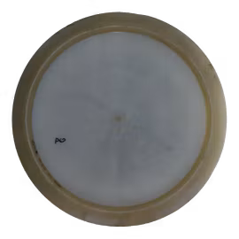 Hatchet VIP Chameleon (6)