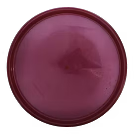 Berg Celie 2023 K1 (9)