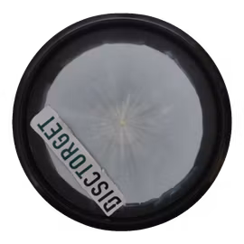 Claymore Kristin Tattar 2022 World Champion Grand Orbit (6)