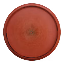 Buzzz First Run Paul McBeth 4 Claw ESP (6)