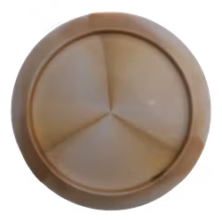 Thrasher Missy Gannon Tour Series ESP (8)