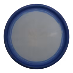 Pure 2023 European Champion Kristin Tattar Gold Orbit (6)