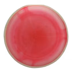 Sonic Garrett Gurthie Tour Series 2023 Glow Halo Champion (7)