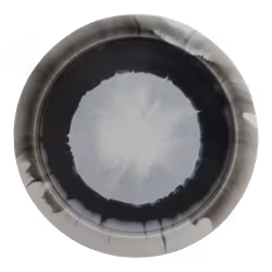 Sword Timber Huk Tournament Orbit (9)