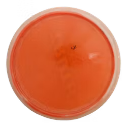 Emac Truth Lucid Ice Orbit (7)