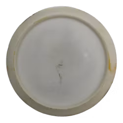 Felon Team Series V2 2021 Fuzion X (6)