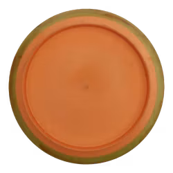 Time-Lapse Fission (7)