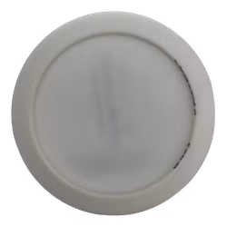 Daytona Launch Edition Forged (8)