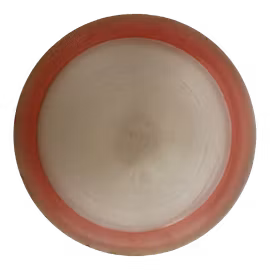 Tern Champion (6)