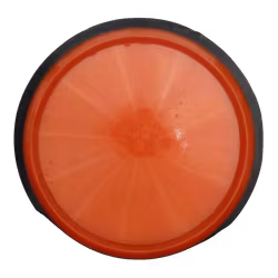 Tesla Proton (5)