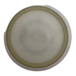 Wave Eclipse (8)