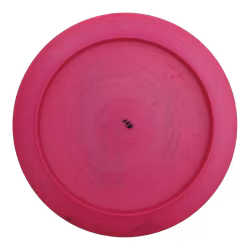 Cannon Icon Edition (7)