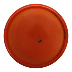 Anchor Opto (7)
