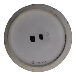 Cinnamon Steady (6)