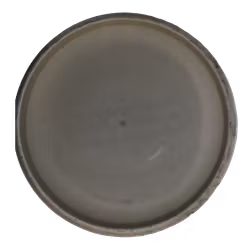 Aviar DX (6)