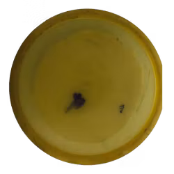 Jokeri Premium (6)
