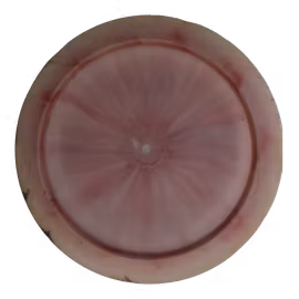 Yeet Alpha (6)