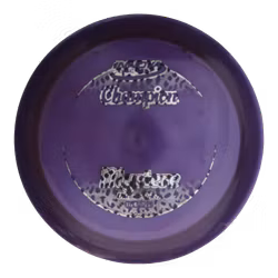 Mystere Champion (6)