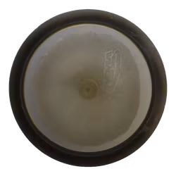 Savant Limited Edition Champion (6)