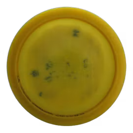 Jade Opto Air (7)