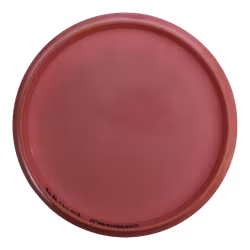 Trust Prototype Grand (9)