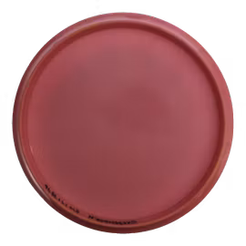 Trust Prototype Grand (9)
