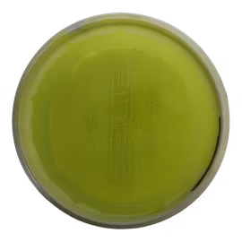 Pure Opto Ice Orbit (8)