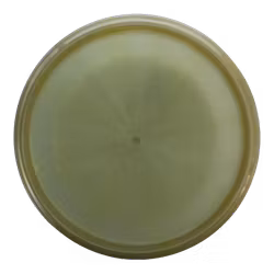 Compass Opto-X (9)