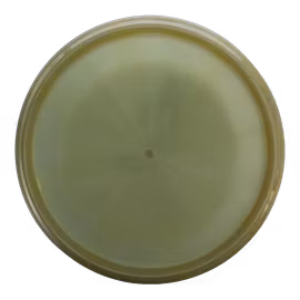 Compass Opto-X (9)