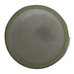 Servo Eclipse (8)