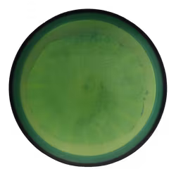 Deflector Proton (6)