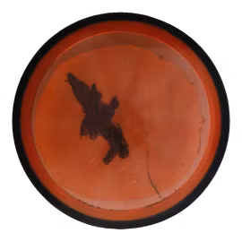 Tesla Proton (6)