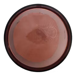 Matrix Proton (7)