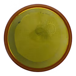 Proxy Proton (6)